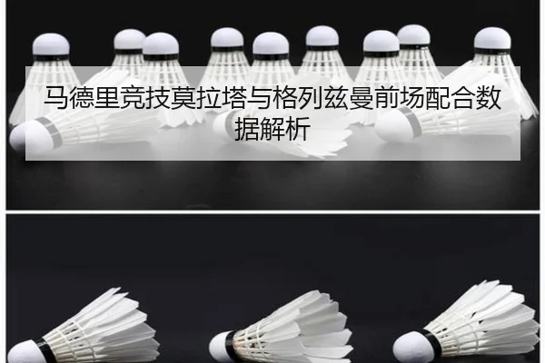 img_1791248698681_501_1_444.jpg